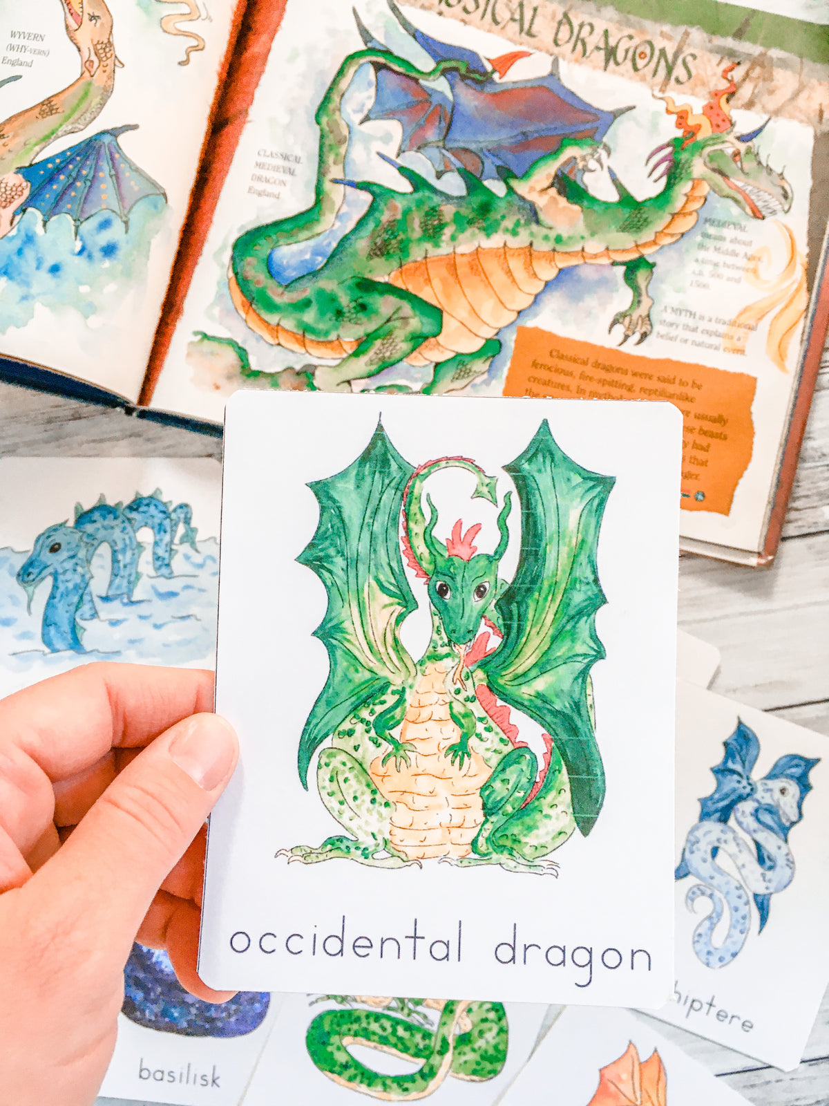 Dragon Flashcards
