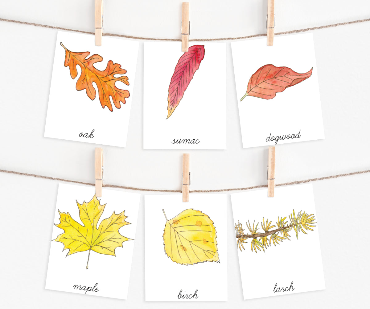 Autumn Collection | Printable