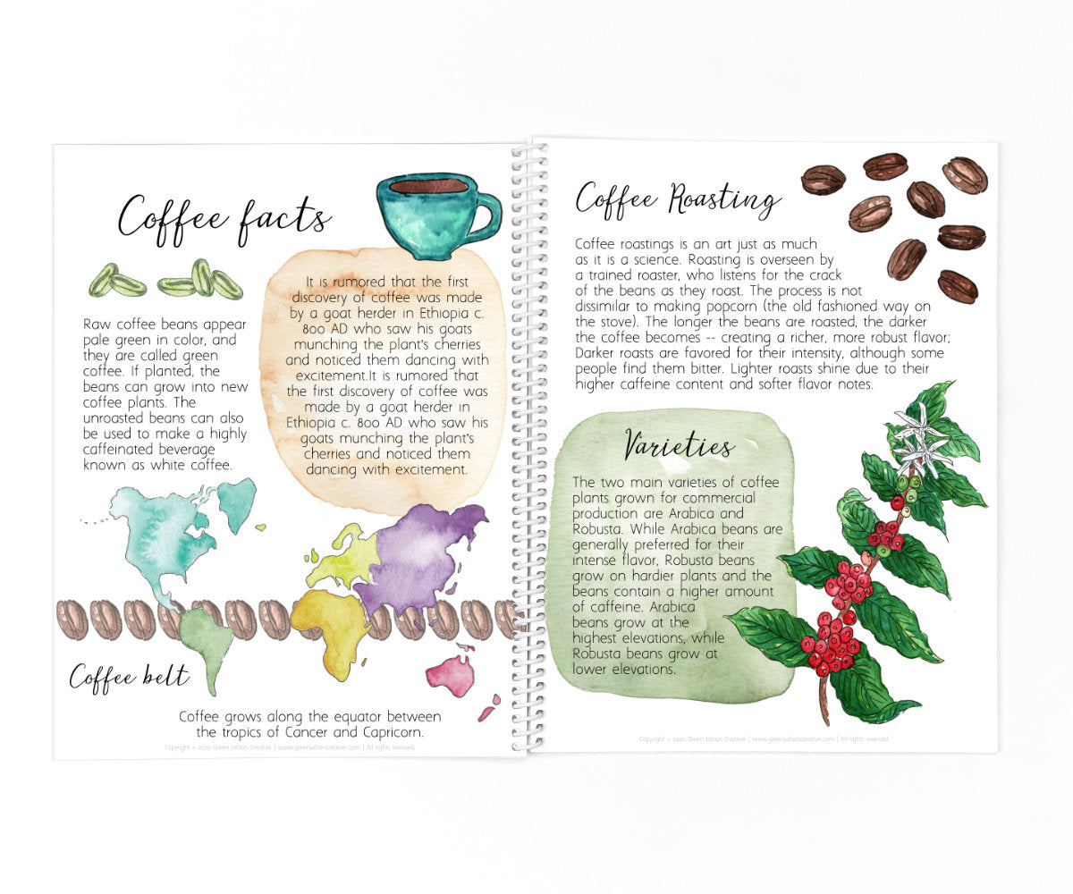 Coffee Plant Life Cycle