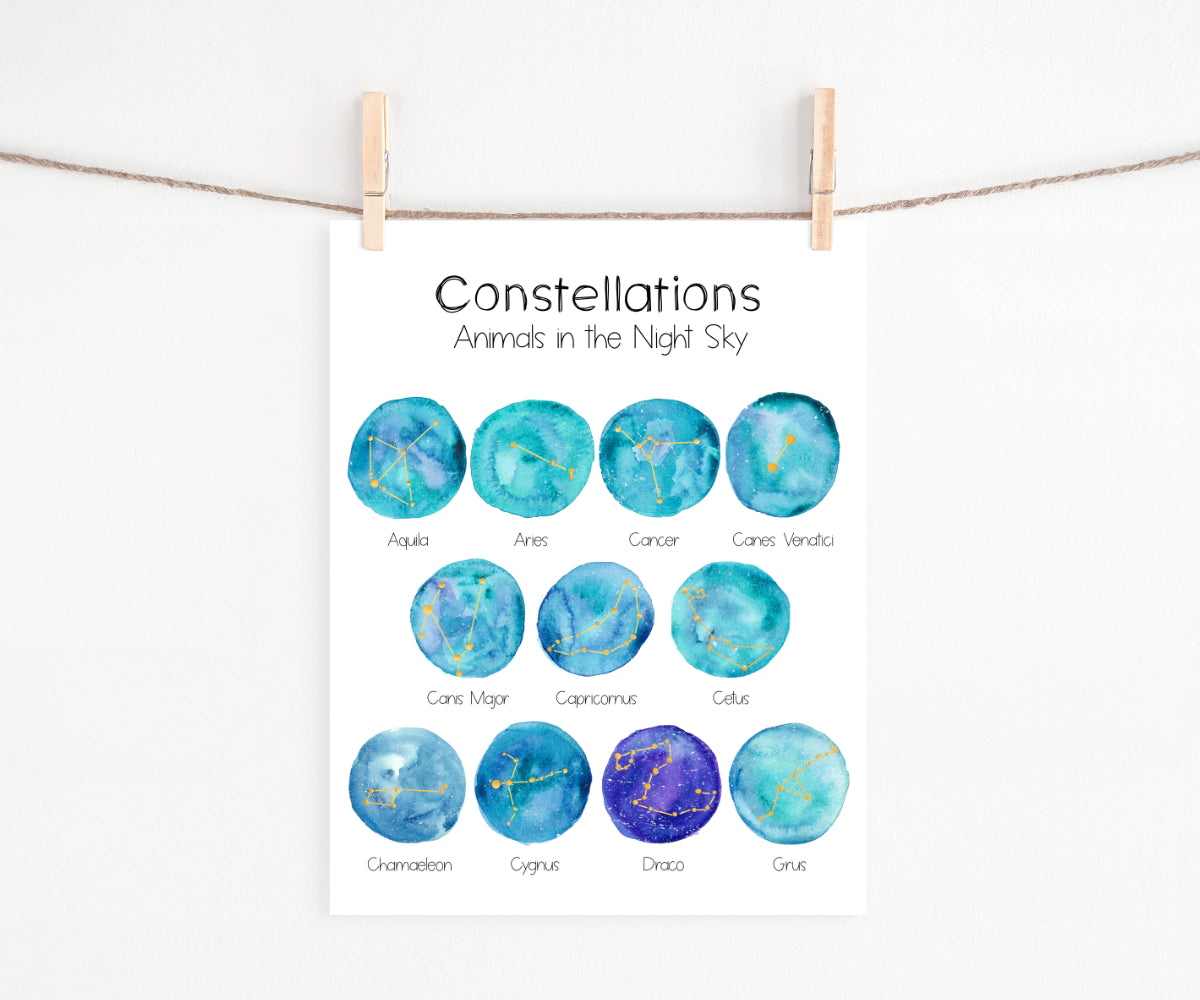 Constellations: Animals in the Night Sky | Printables