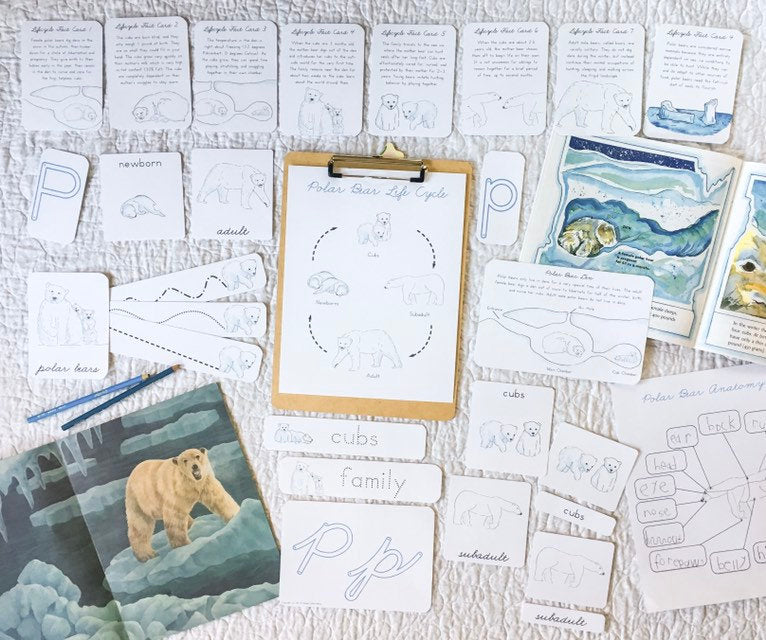 Polar Bear Life Cycle | Montessori Preschool Homeschool Unit Study Printable Curriculum