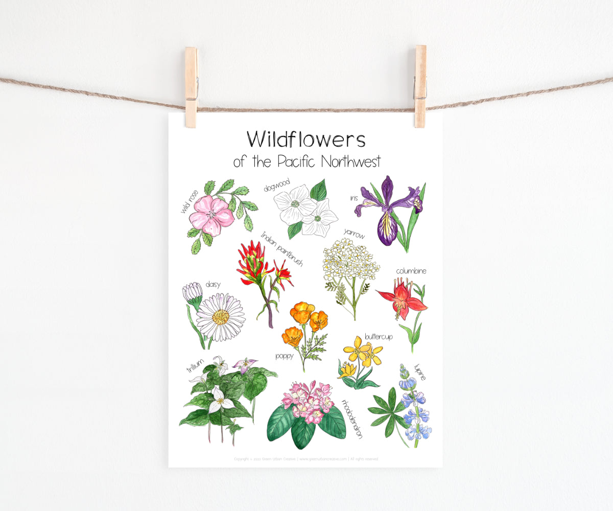 Wildflowers of the Pacific Northwest | Printable