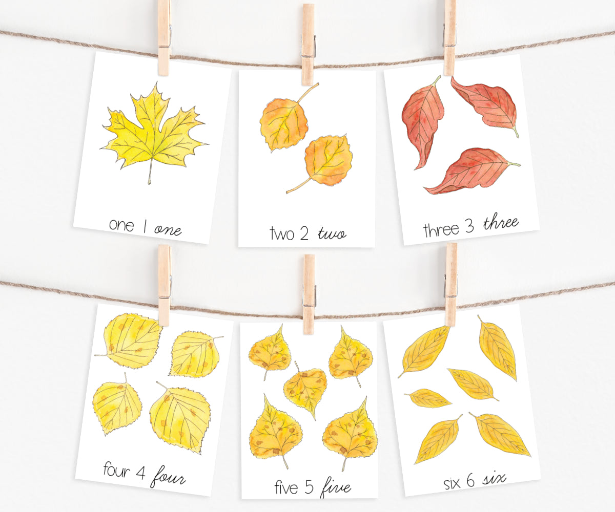 Autumn Collection | Printable