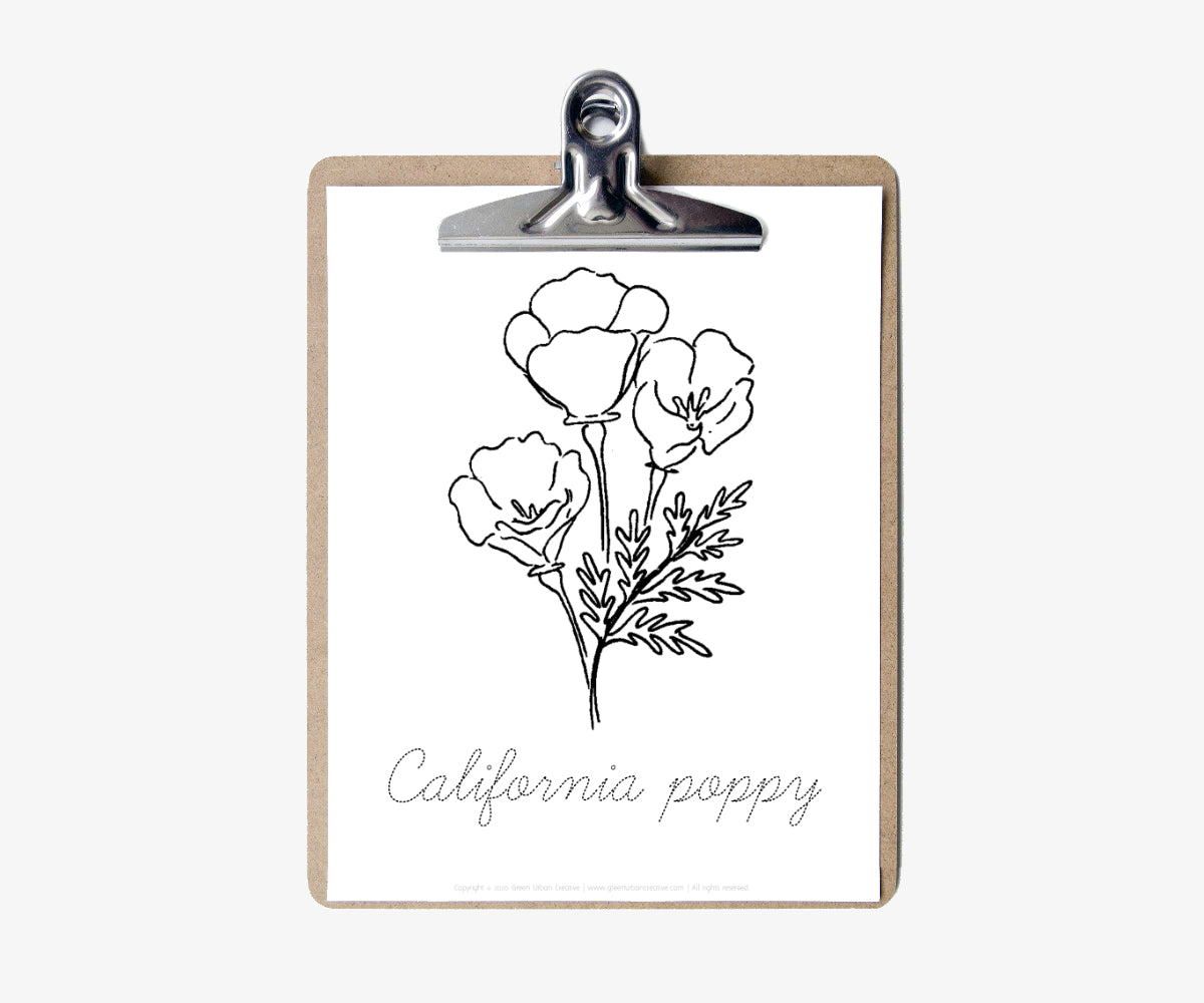 California Poppy Mini Nature Study | Printable