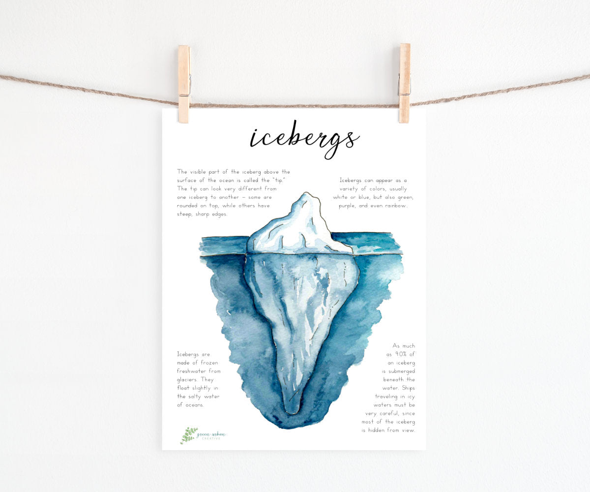Iceberg Invitation: Unit Study Printables &amp; Flashcards for Homeschool Montessori Curriculum