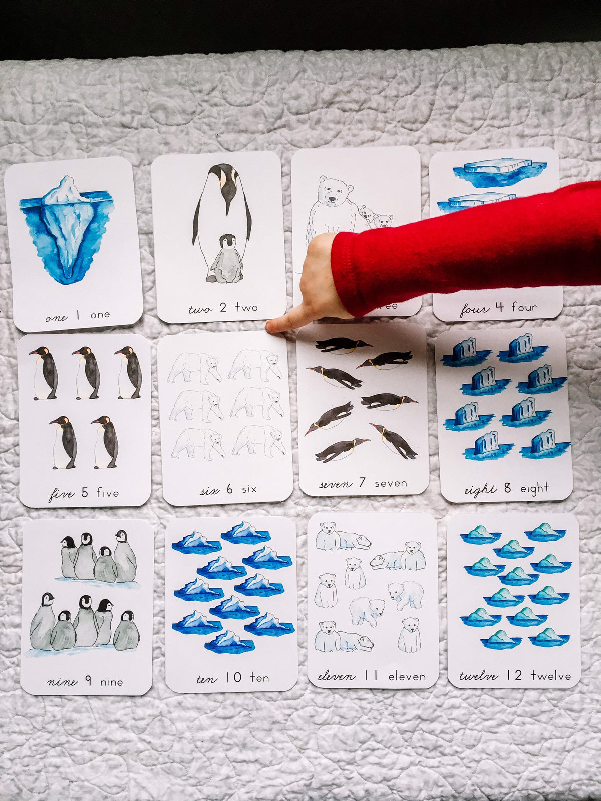 Polar Seas Counting Cards | Preschool Homeschool Montessori printable