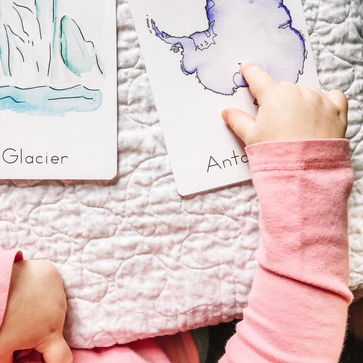 Iceberg Invitation: Unit Study Printables &amp; Flashcards for Homeschool Montessori Curriculum