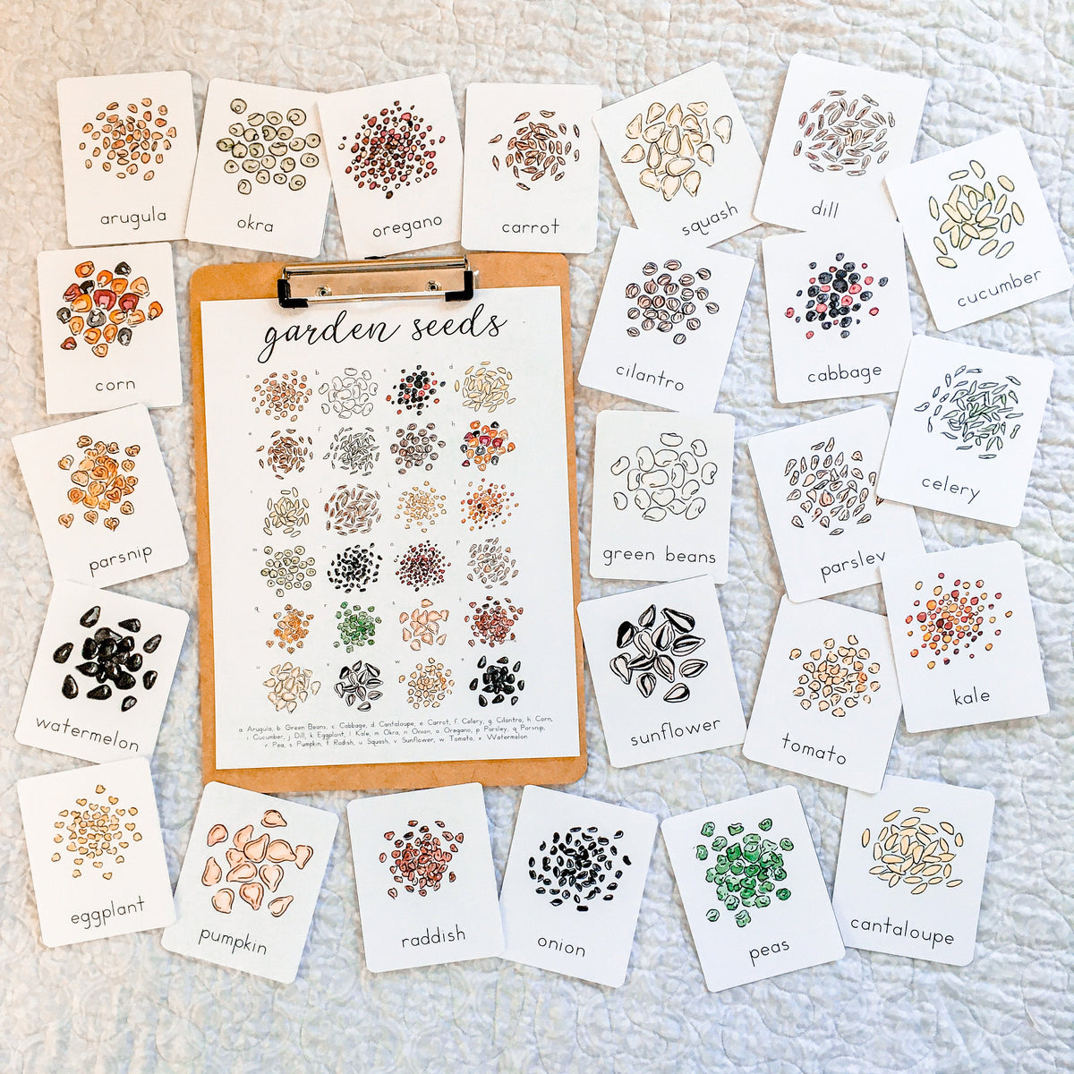 Garden Seeds Flashcards | Printable