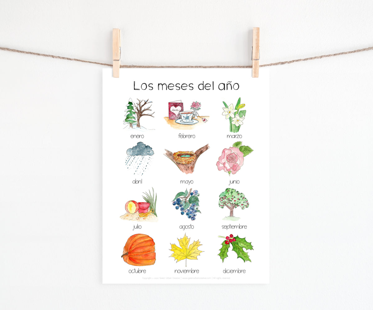 Months of the Year in Spanish | Printable