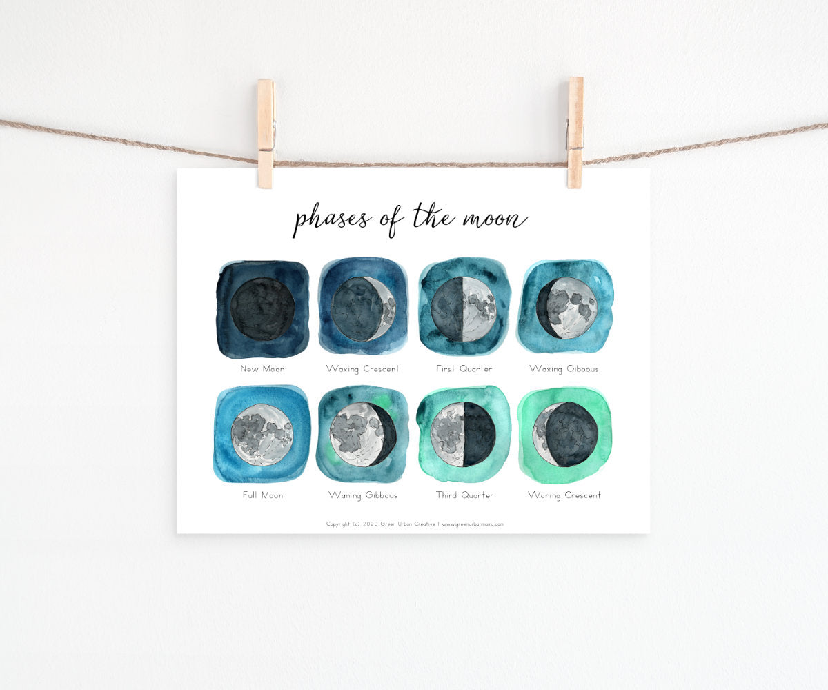 Moon Phases | Printable