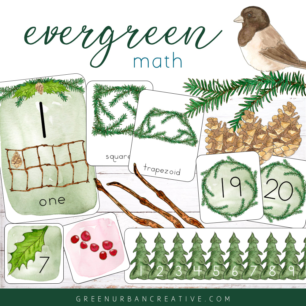 Evergreen Math: Kingergarten Supplemental Manipulatives