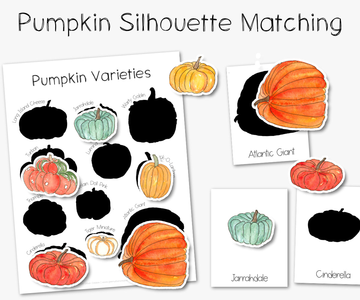 Pumpkin Silhouette Matching Printable